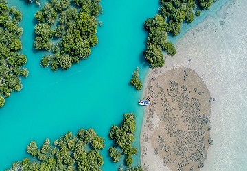 قشم سرزمین عجایب | جاذبه های جزیره قشم