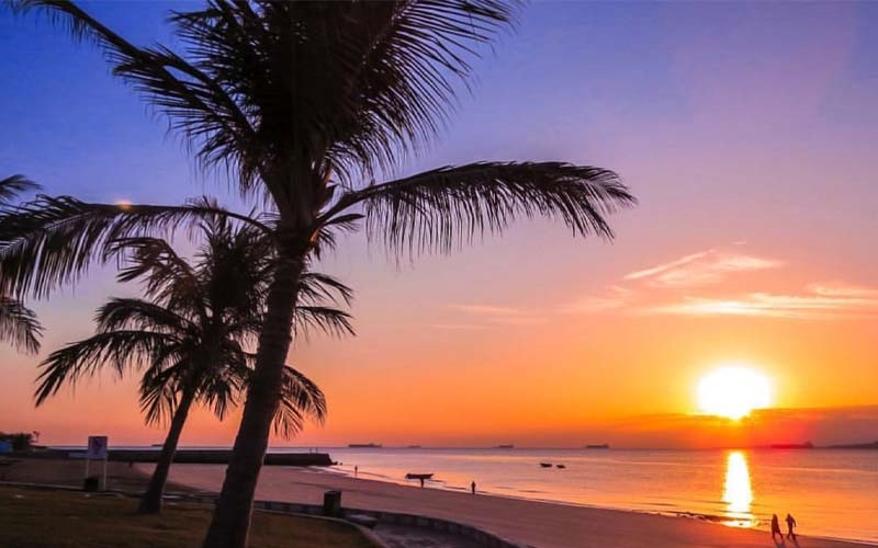 سواحل دیدنی جنوب